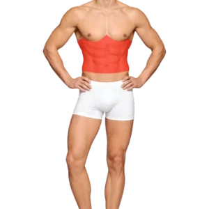 Bauch 1 Sitzung M